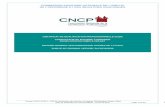 CQP conduc mach.imprimer offset simple JO du 22-12-2010.pdf