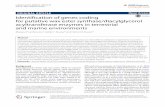 Identification of genes coding for putative wax ester synthase ...