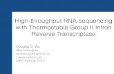 High-throughput RNA sequencing with Thermostable Group II Intron Reverse Transcriptase