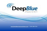 About Deep Blue Communications