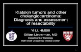 Klatskin tumors And Other Cholangiocarcinoma: Diagnosis And