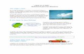 Air Quality Index Kids Website - Teacher's Reference 2001 in spanish
