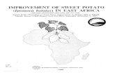 IMPROVEMENT OF SWEET POTATO (Ipomoea batatas) IN EAST ...