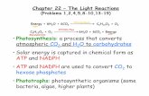 The Light Reactions (Chapter 22)