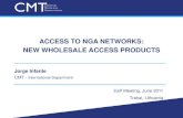 Access to NGA Networks: New Wholesale Access Products