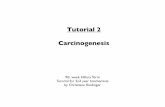 Introduction to Carcinogenesis