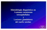 Metodología diagnóstica en lesiones escamosas intraepiteliales y ...