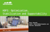 HDFS: Optimization, Stabilization and Supportability