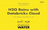 H2O Rains with Databricks Cloud - NY 02.16.16