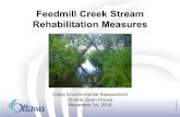 Feedmill Creek Stream Rehabilitation Measures