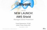 NEW LAUNCH! AWS Shield—A Managed DDoS Protection Service