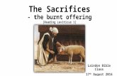 The sacrifices   burnt offering