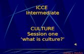 1 culture  'what is culture'
