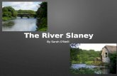 The RiverSlaney by Sarah