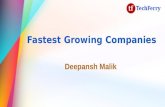 Fastest Growing Companies - TechFerry