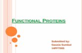 Functional proteins 2 (1) (1)
