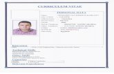 CV for civil engineer