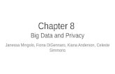 Chapter 8 big data and privacy