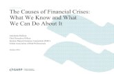 The Causes of Financial Crises: What We Know and What We Can Do About It