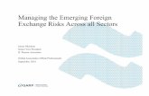 Managing the Emerging Foreign Exchange Risks Across all Sectors