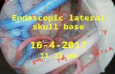 Endoscopic lateral skull base