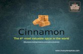 Are you eating true cinnamon?