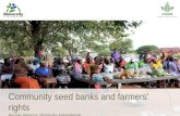 Community seed banks and farmers’ rights