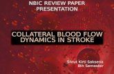 Collateral Blood Flow Dynamics in Stroke