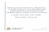 Organizational Design - A Strategy to Increase the Effectivenes of Terrorist Organizations - A Case Study on the Islamic State