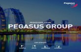 Pegasus Group