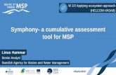 Symphony- a cumulative assessment tool for MSP at the 2nd Baltic Maritime Spatial Planning Forum