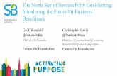 The North Star of Sustainability Goal-Setting: Introducing the Future-Fit Business Benchmark