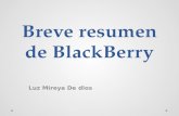 Breve resumen de black berry