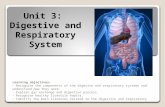 Unit 3 Digestive and Respiratory Systems