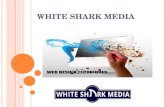Web Design Services in St. Catharines | 289-271-4486 | White Shark Media