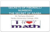 Secrets of fibonnaci numbers