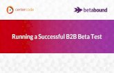 Running a Successful B2B Beta Test