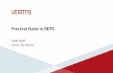 A Practical Guide to BEPS: Reviewing What the Leaders are Doing-Tavin Skoff, Veritas Technologies LLC