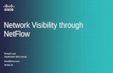 Network Security and Visibility through NetFlow