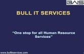 Bull IT- Recruitment Process