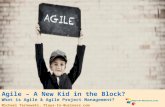 Agile – The New Kid in the Block?