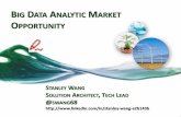 Big data analytic market opportunity