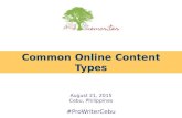 Common online content types