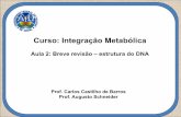 IM02 Estrutura do DNA