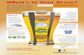 TIBCO Spotfire Beer Infographic