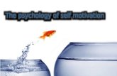 The psychology of self motivation by Scott Geller