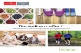 The wellness effect: The impact of workplace programmes