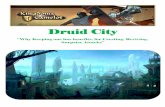 Druid city, the Advantages