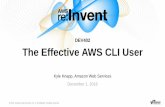AWS re:Invent 2016: The Effective AWS CLI User (DEV402)