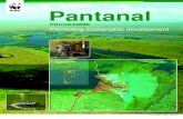 Pantanal PROGRAMME